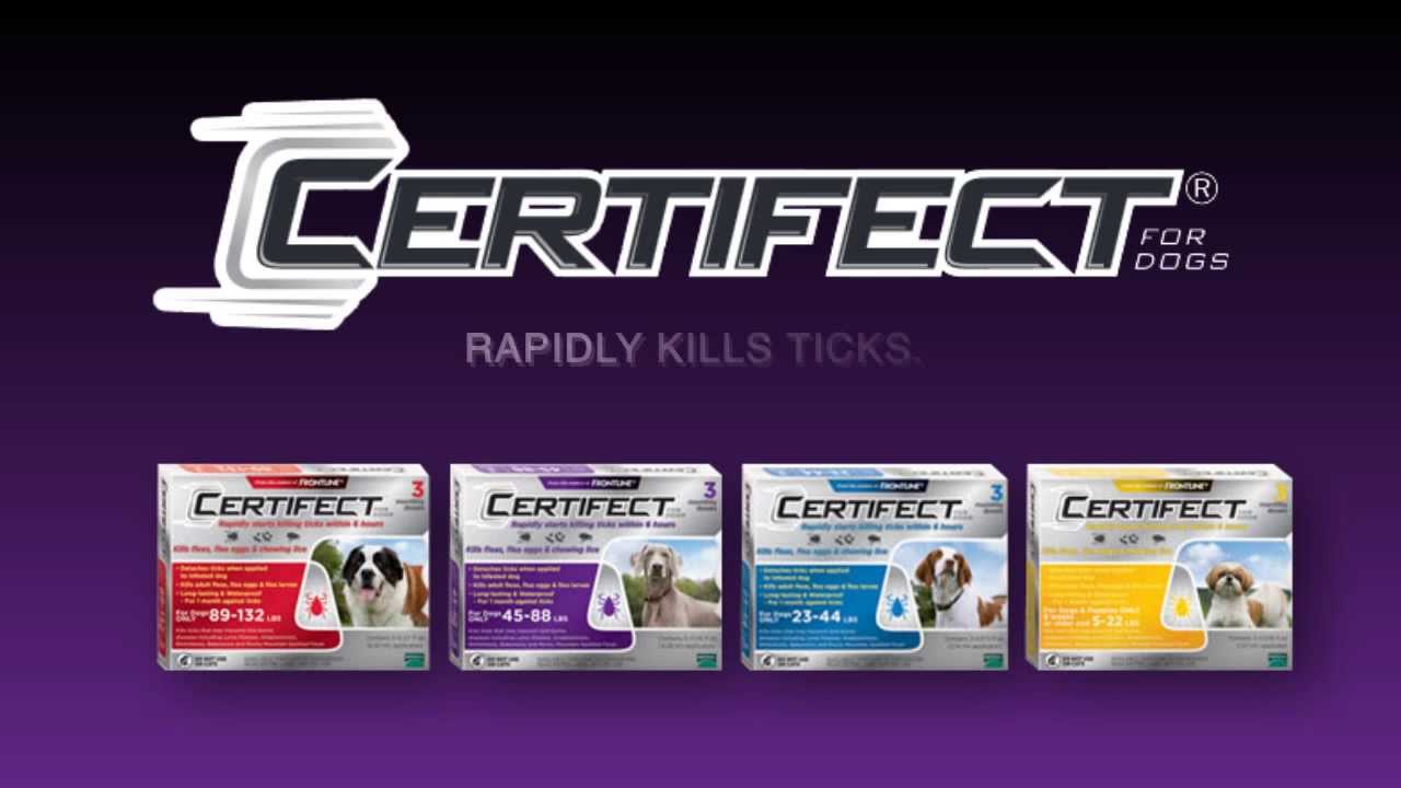 Certifect Flea and Tick Spot-On Treatment by Merial