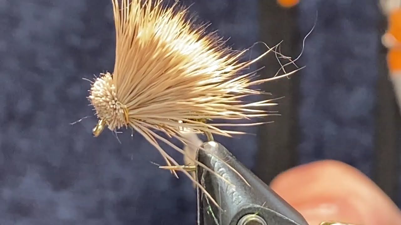 Big Head Caddis