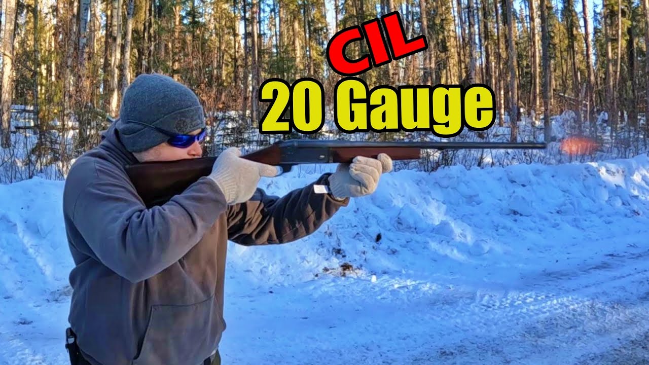 Обзор ружья CIL Model 402 20 калибра