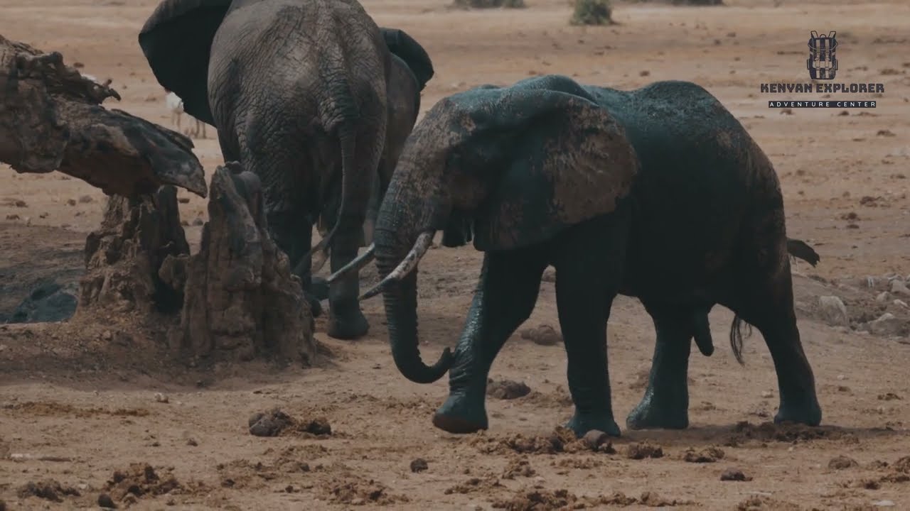 Kenya, Part 2