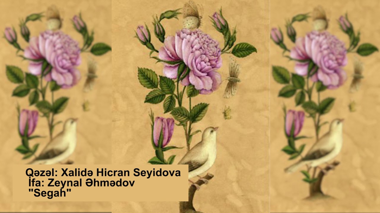 Xalida Hicran Seyidova.Zeynal Ehmedov. Segah