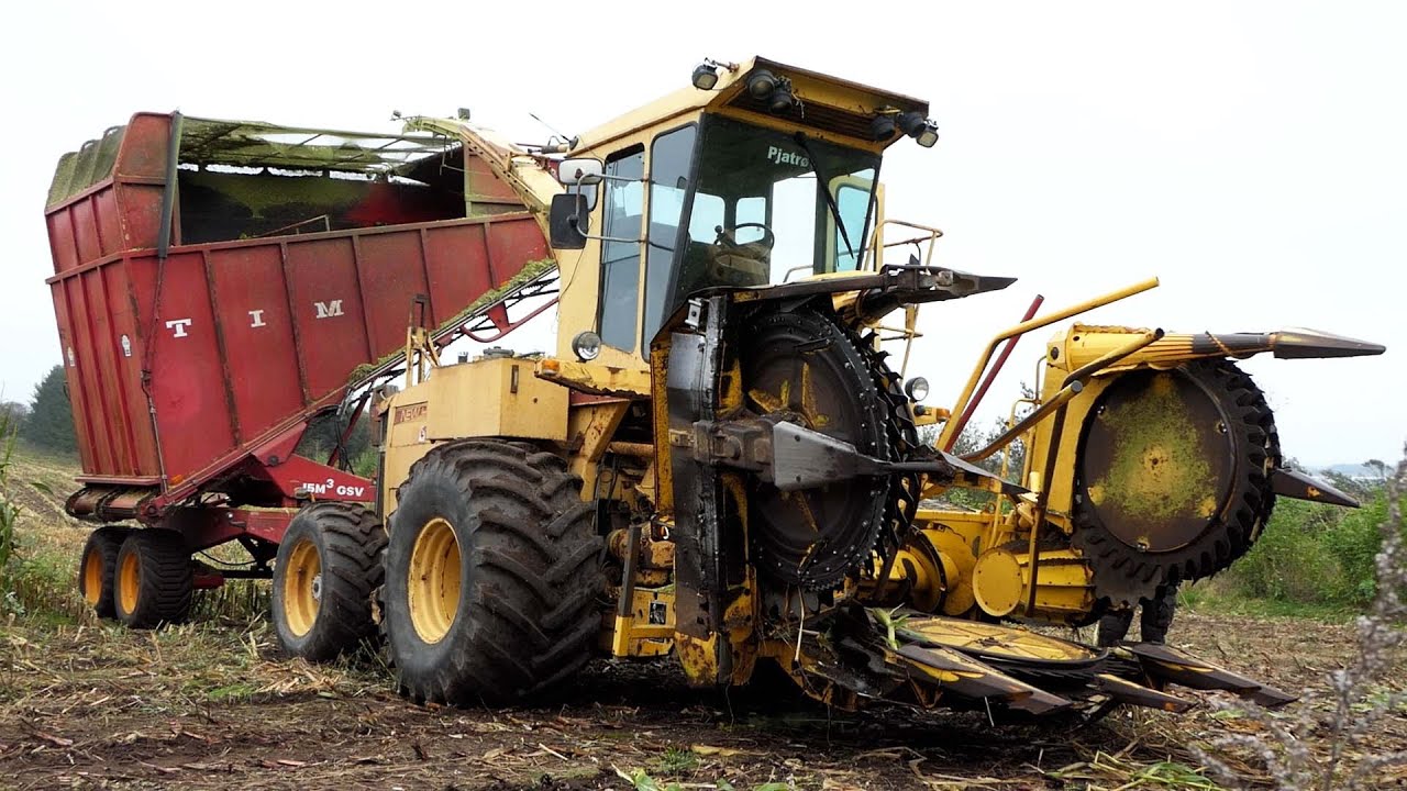 Mais Silage | New Holland 1905 + John Deere Tractors + JCB