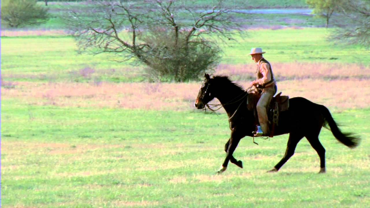 Buck's Approach - INTRO DISC 7