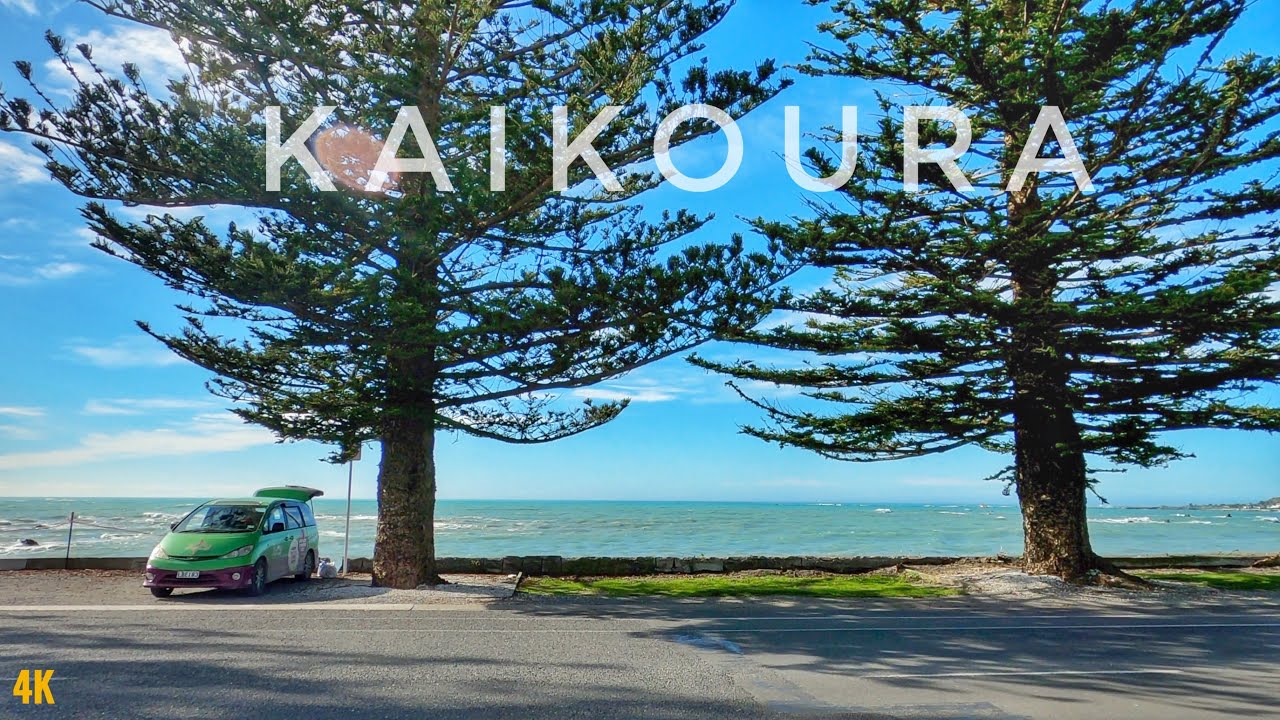 Kaikoura Town Centre Walking Tour May 2023 4K | South Island | New Zealand Walking Tour 4K