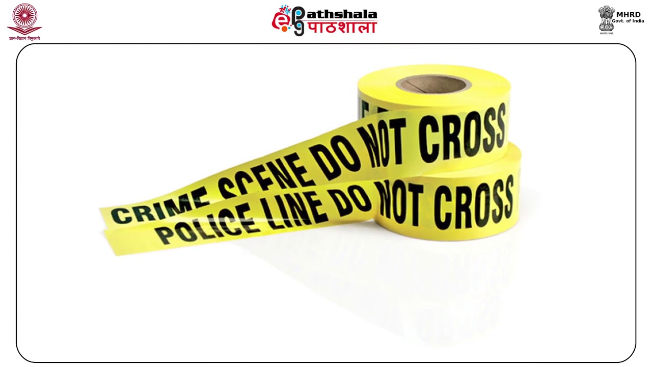 Digital crime scene investigation