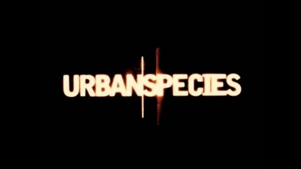 urban species Spiritual Love