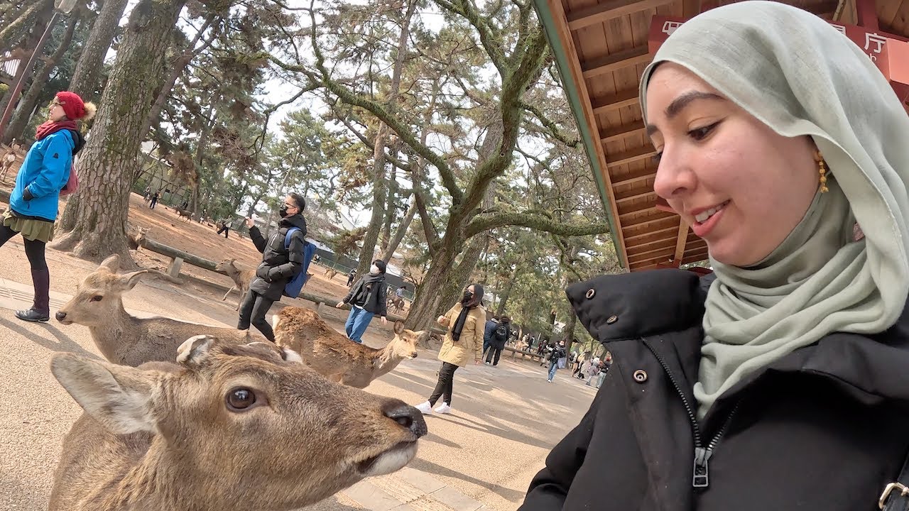 Solotraveling through Japan!!!!!! February 2025