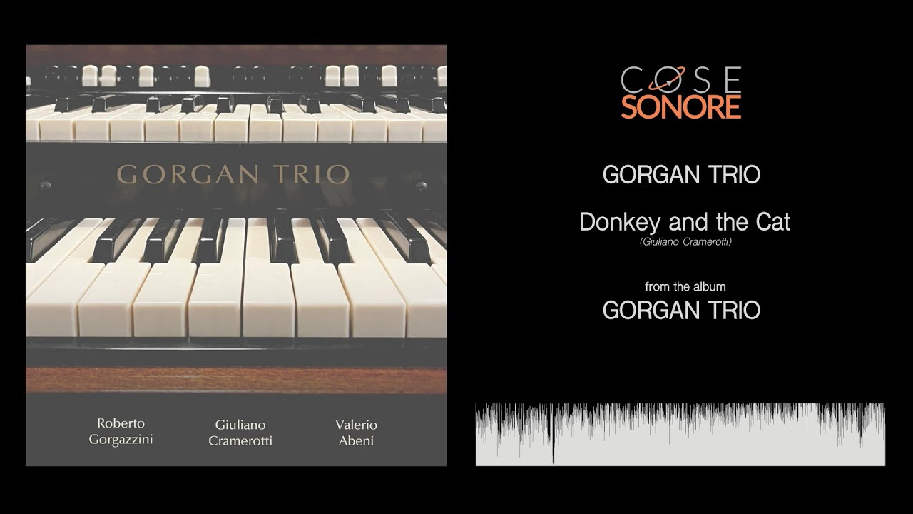 Gorgan Trio - Donkey and the Cat - Official Recording