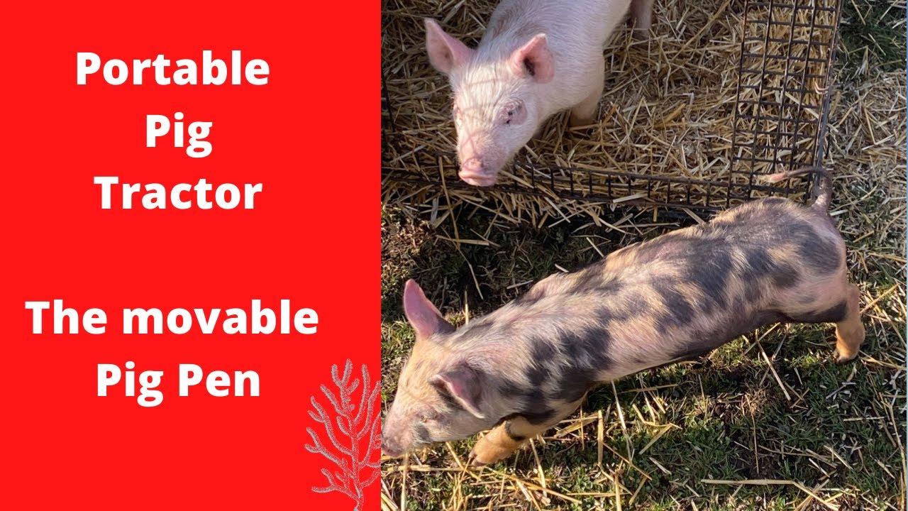 Portable Pig Tractors 1