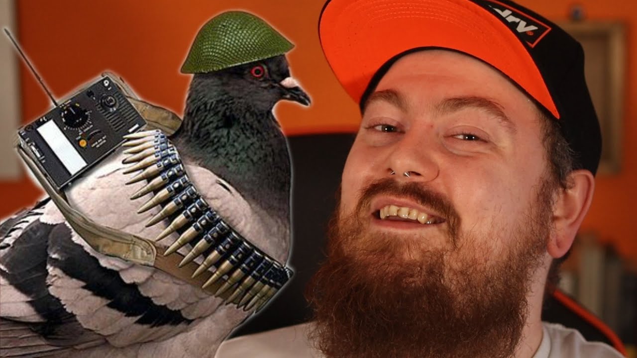Absolute Mad Lads - Cher Ami, The Invincible Pigeon