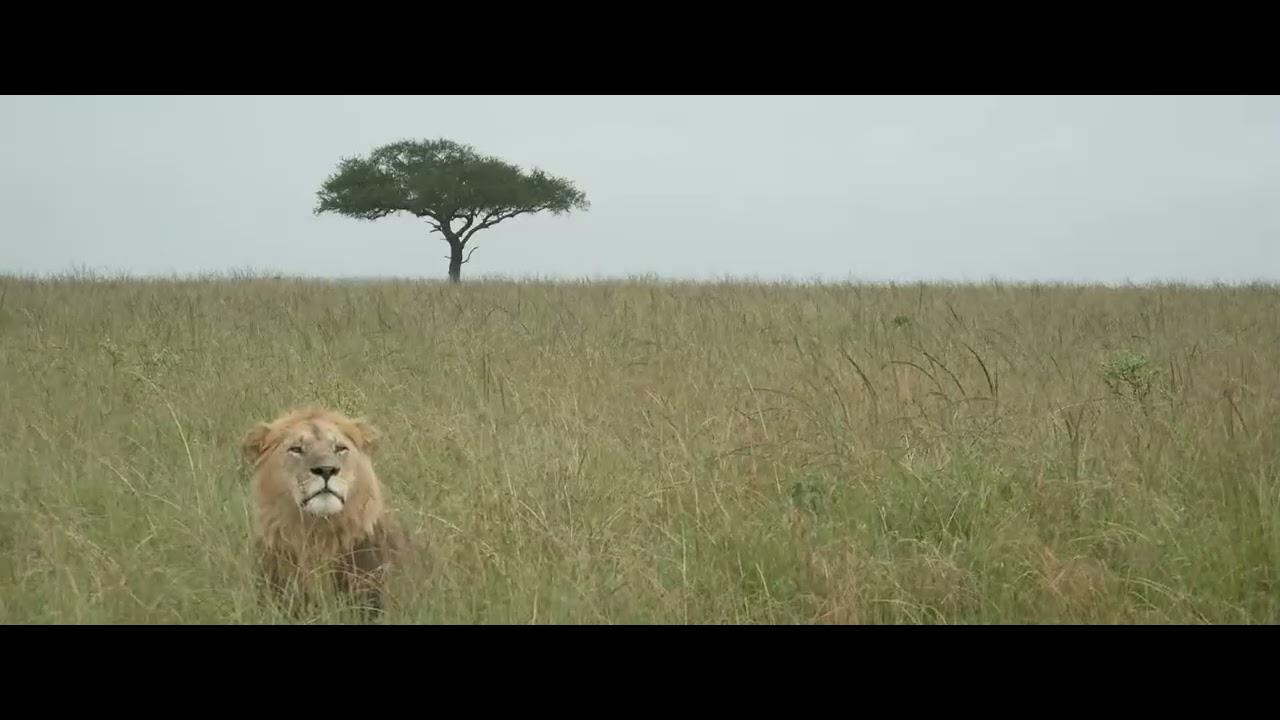 Orkirikoi watching the R5-Rongai Boys