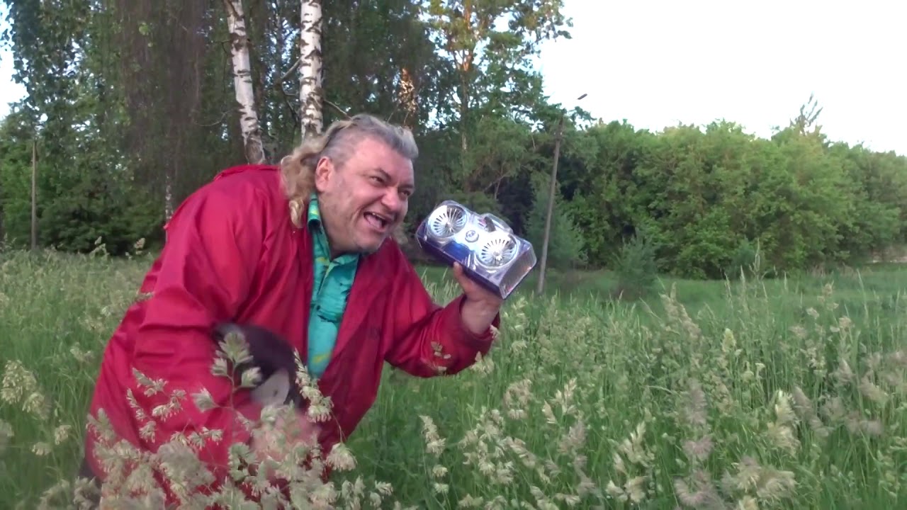 Пророк Санбой - Ельня