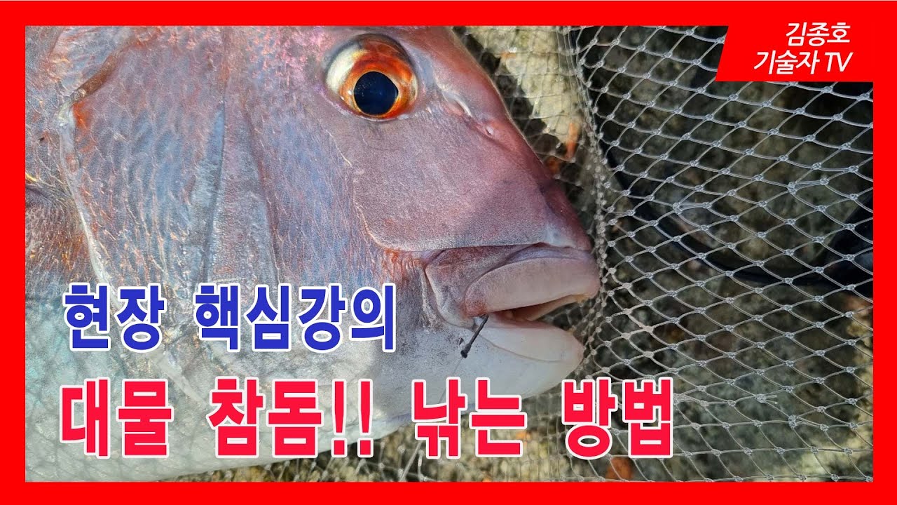 대물 참돔을 잡자 !!   한방에 정리해 드리겠습니다!