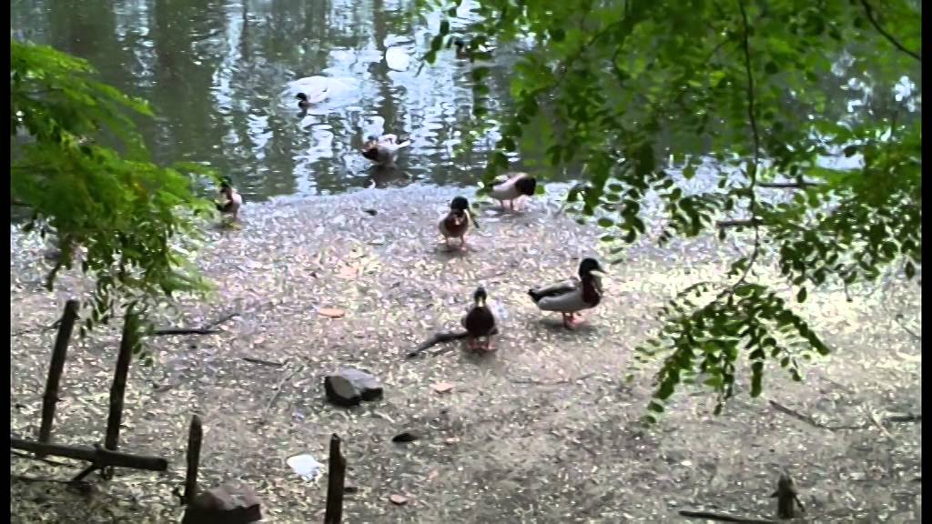 Tierpark Herzberg / Elster