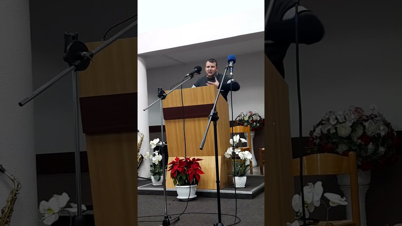 Florin Bolosin - Scurtă mărturie