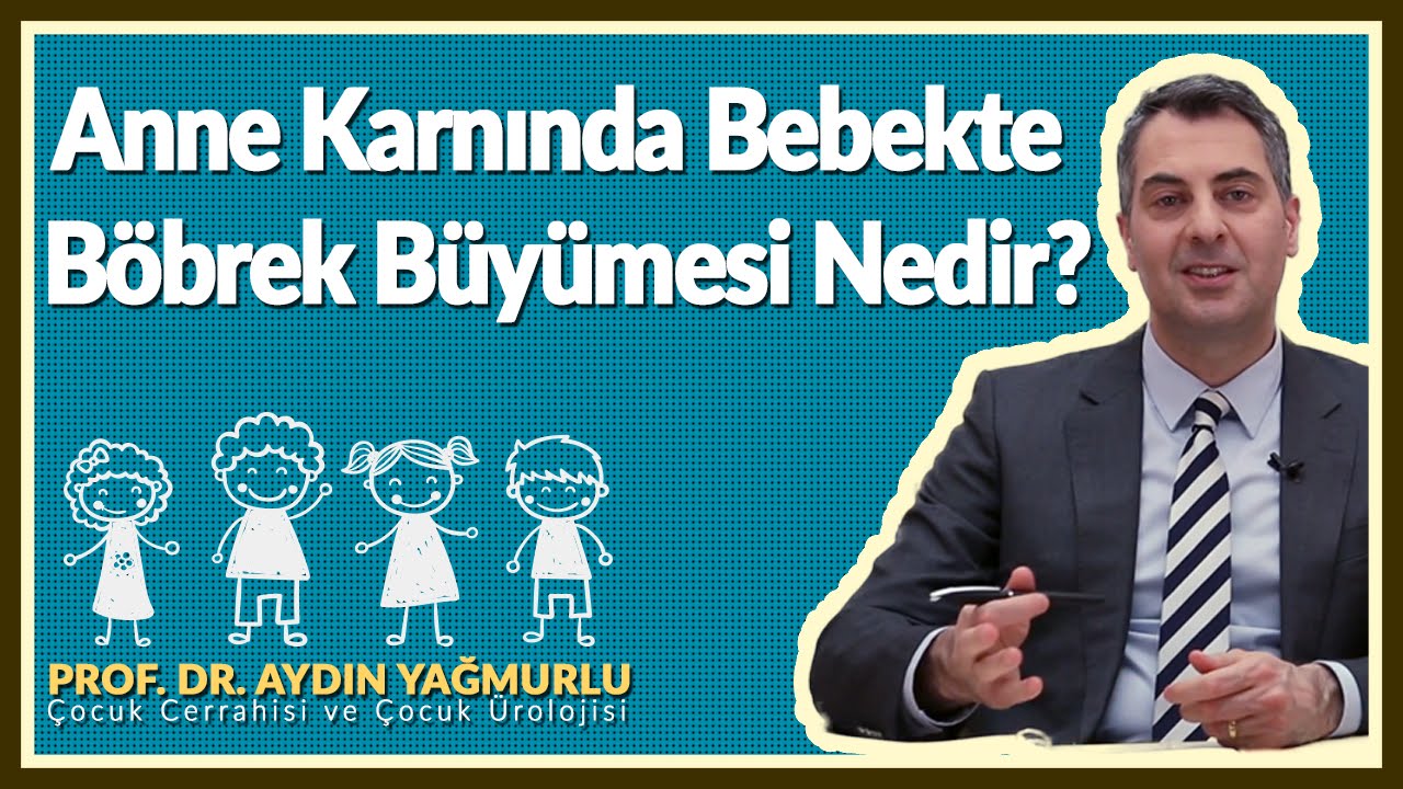 Anne karnında bebekte böbrek büyümesi nedir?