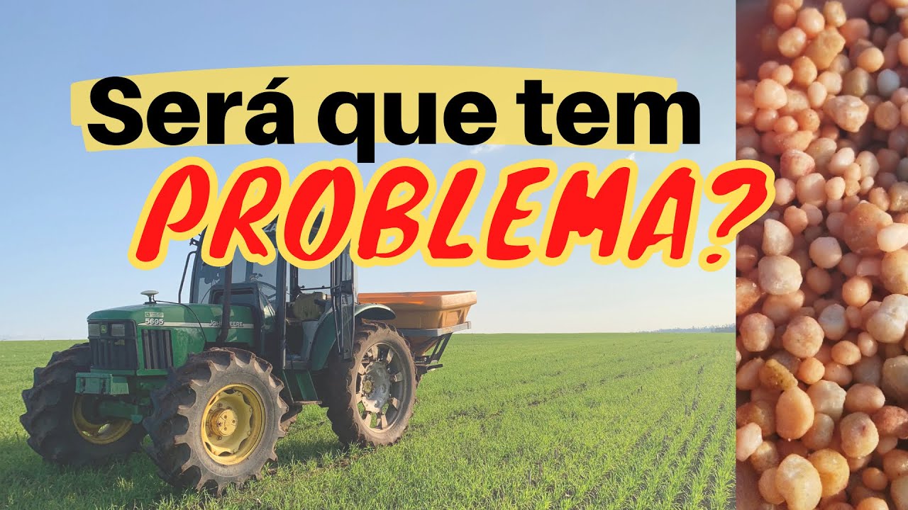 Fiz 2,4D e apliquei URÉIA no outro dia!!