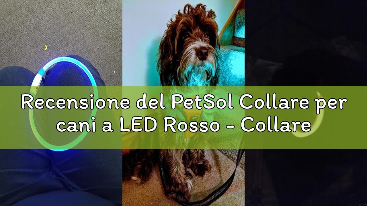 Recensione del PetSol Collare per cani a LED Rosso - Collare di sicurezza per animali domestici con