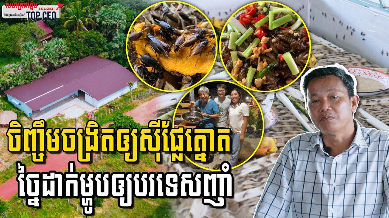 ចិញ្ចឹមចង្រិតឲ្យស៊ីផ្លែត្នោត បន្លែជុំវិញផ្ទះ បុរសម្នាក់នេះច្នៃលក់ចេញជាចំណូលច្រើនមុខ |កម្មវិធីTop CEO