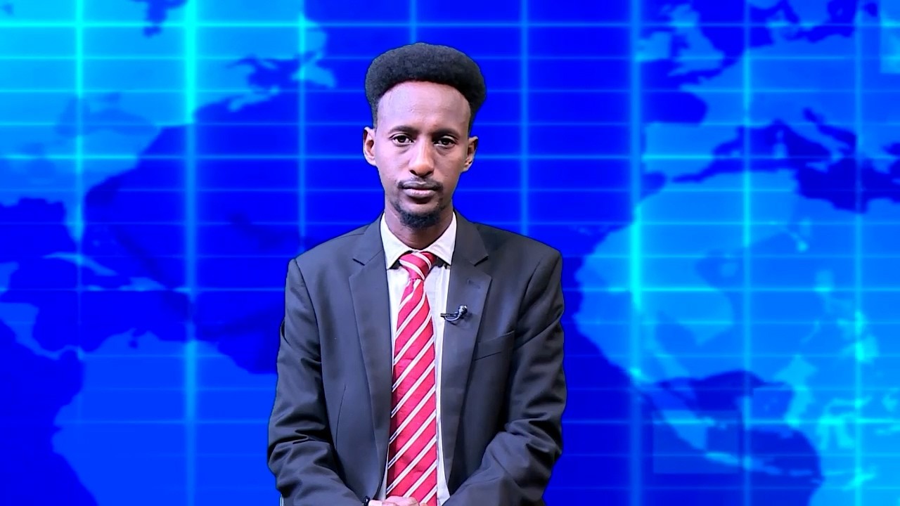Warka Universal TV 18 09 2026