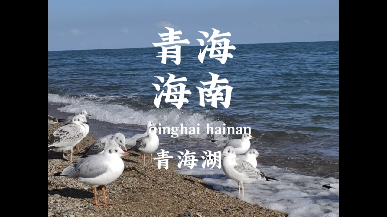 青海海南 青海湖