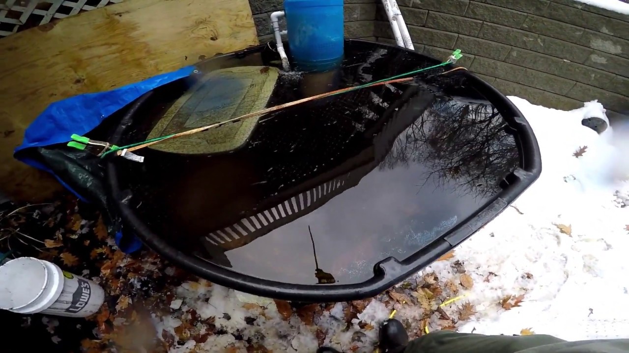 Channel Catfish Aquaculture--Male Channel Catfish Breeding Tank