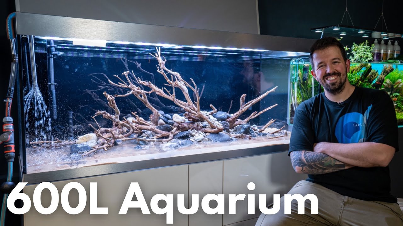 600L Fluss-Style Aquascape einrichten!