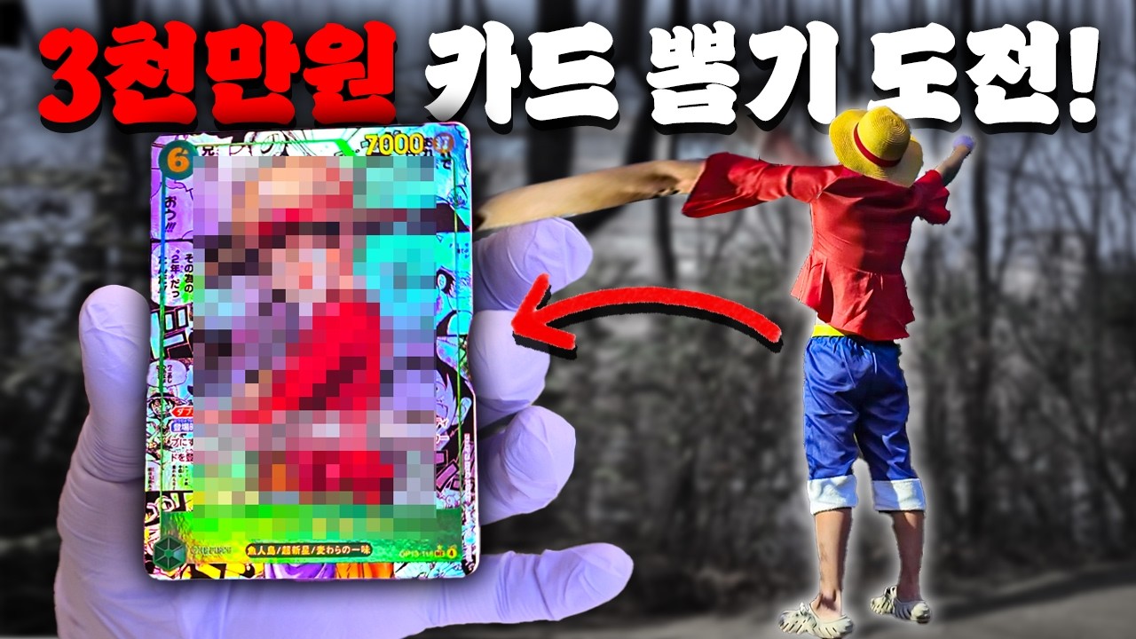 최고 비싼 카드 뽑기 여정! 시작부터 대박! [원피스 13탄 카드깡]