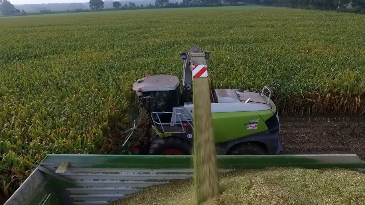 Maishäckseln 2019 Claas Jaguar 960 Kemper 375 [LU Ulrich Wilkens][Claas][Silage][Kreis ROW][Deutsch]