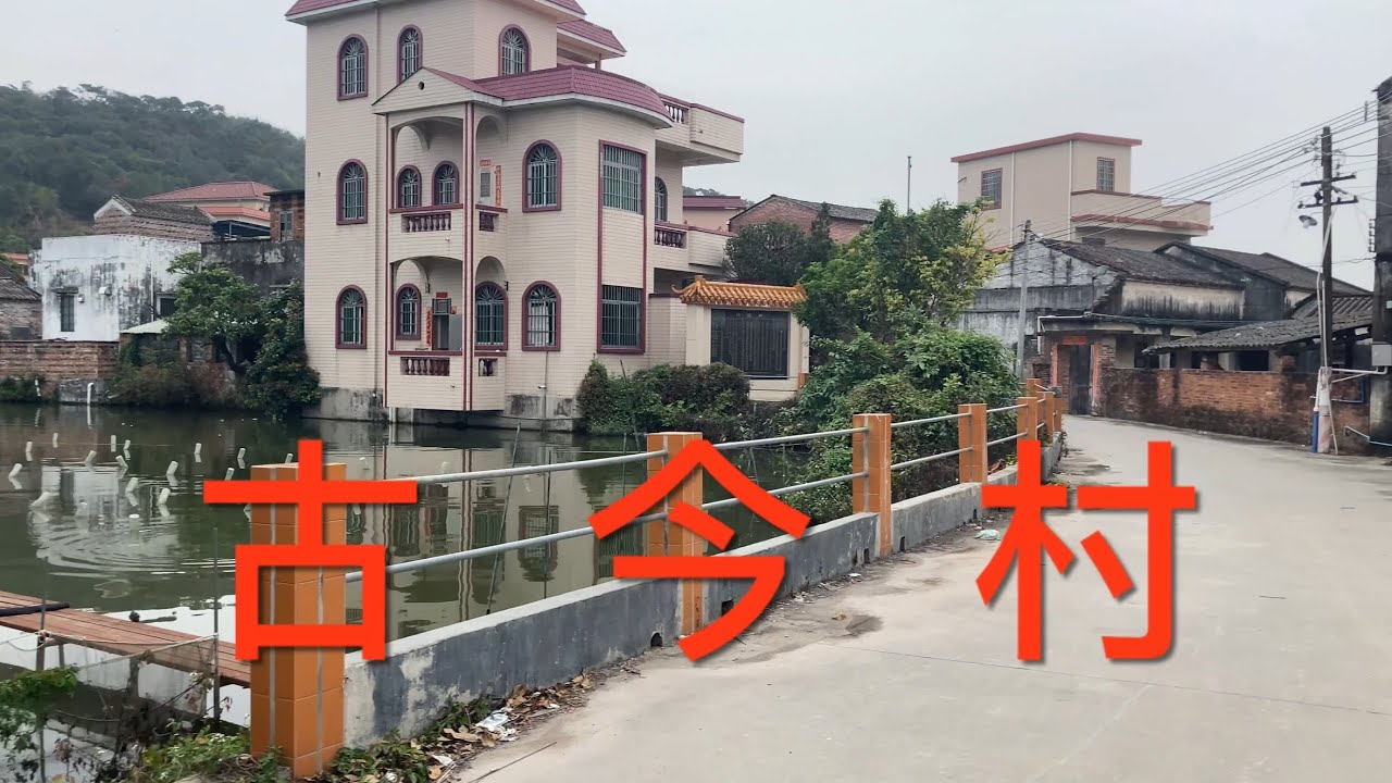江門市新會區：今期拍攝拍攝棠下鎮的古今村和大灣村。非常美麗的鄉村，具有江南水鄉小橋流水的特色，這里休閒清靜人們安居樂業，民風淳樸，看看這兩條村的美麗風貌！