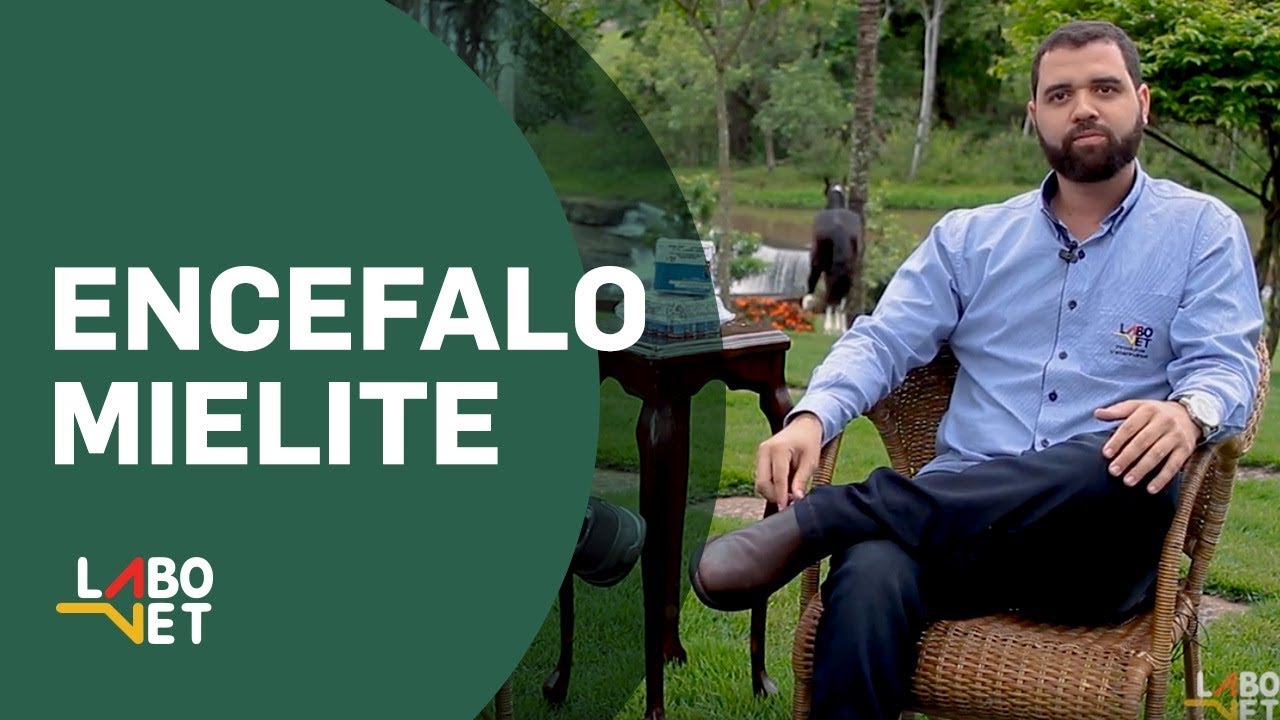 Sintomas, tratamento e prevenção da Encefalomielite equina | Com o Médico Veterinário Renan Oliveira