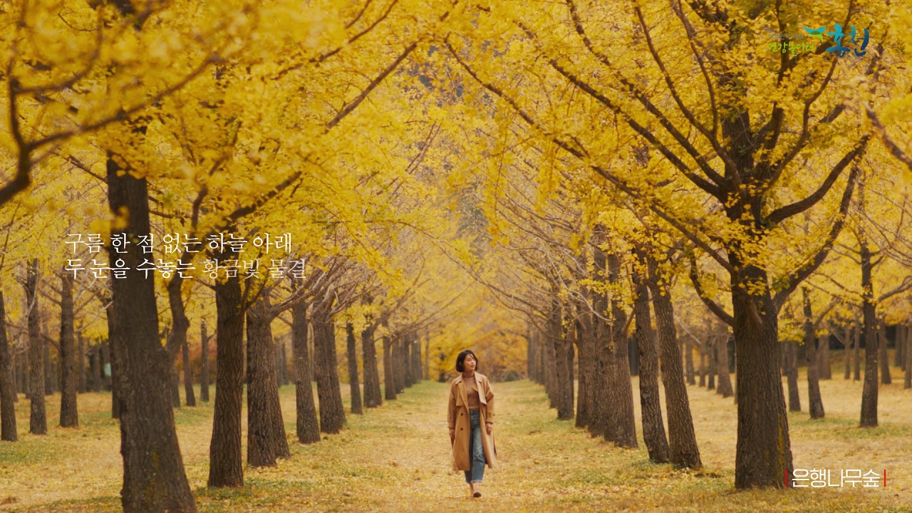 홍천군_가을관광영상_1min30s_한글