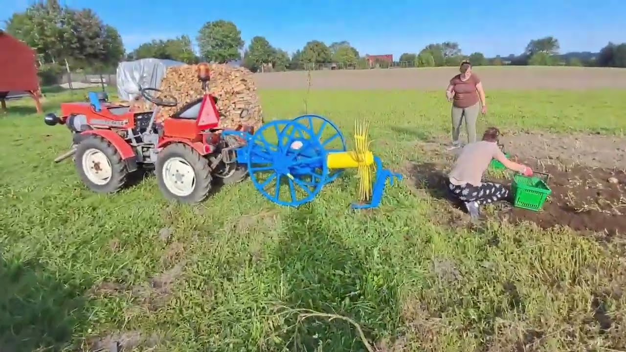 Wykopki 2026 🥔 TZ4k14 & kopaczka konna Pionier KK 🥔 Relacja z prac #Vlog 3
