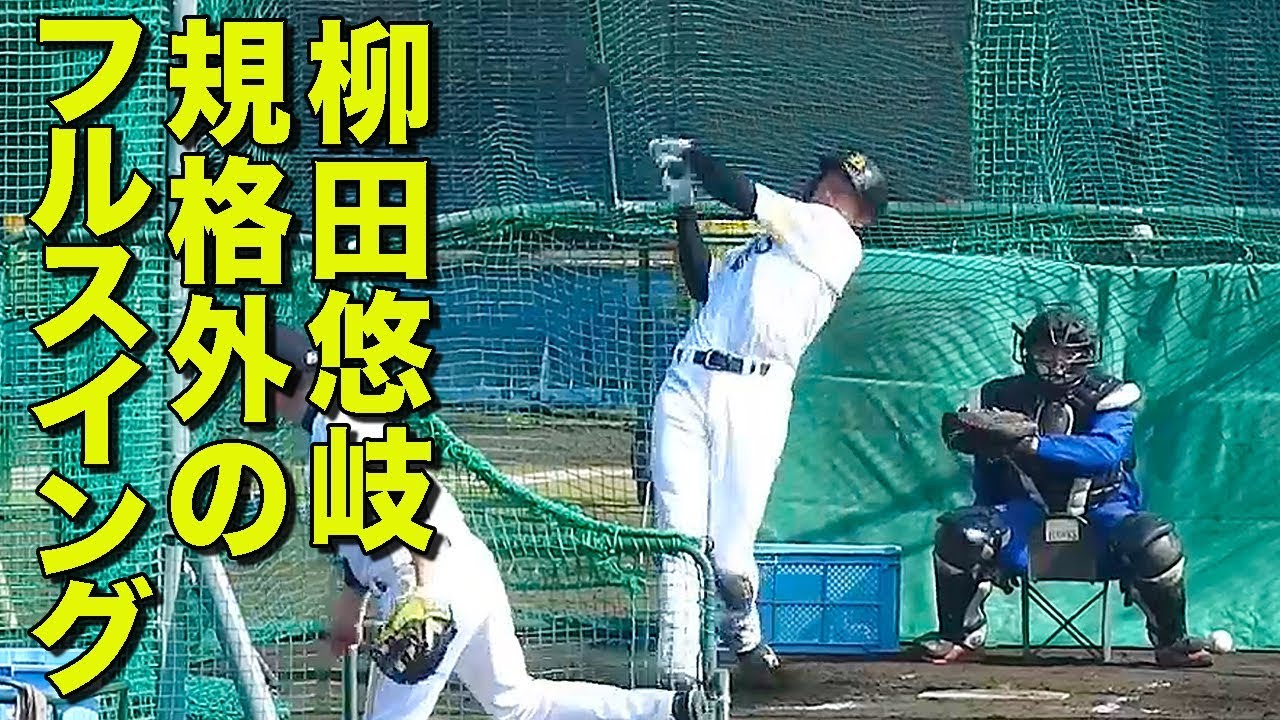 規格外 柳田悠岐 フルスイング フリーバッティング 2018 ホークス宮崎春季キャンプ