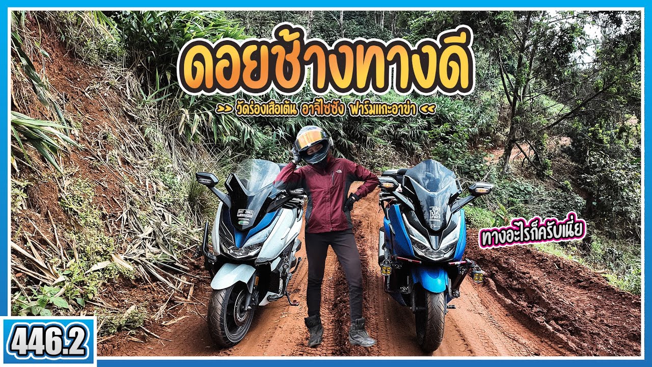 ( EP.446.2 ) โดนหลอกเข้าป่าอีกแล้ว! ขี่ Forza300 ไปกางเต็นท์บนดอยช้าง จ.เชียงราย