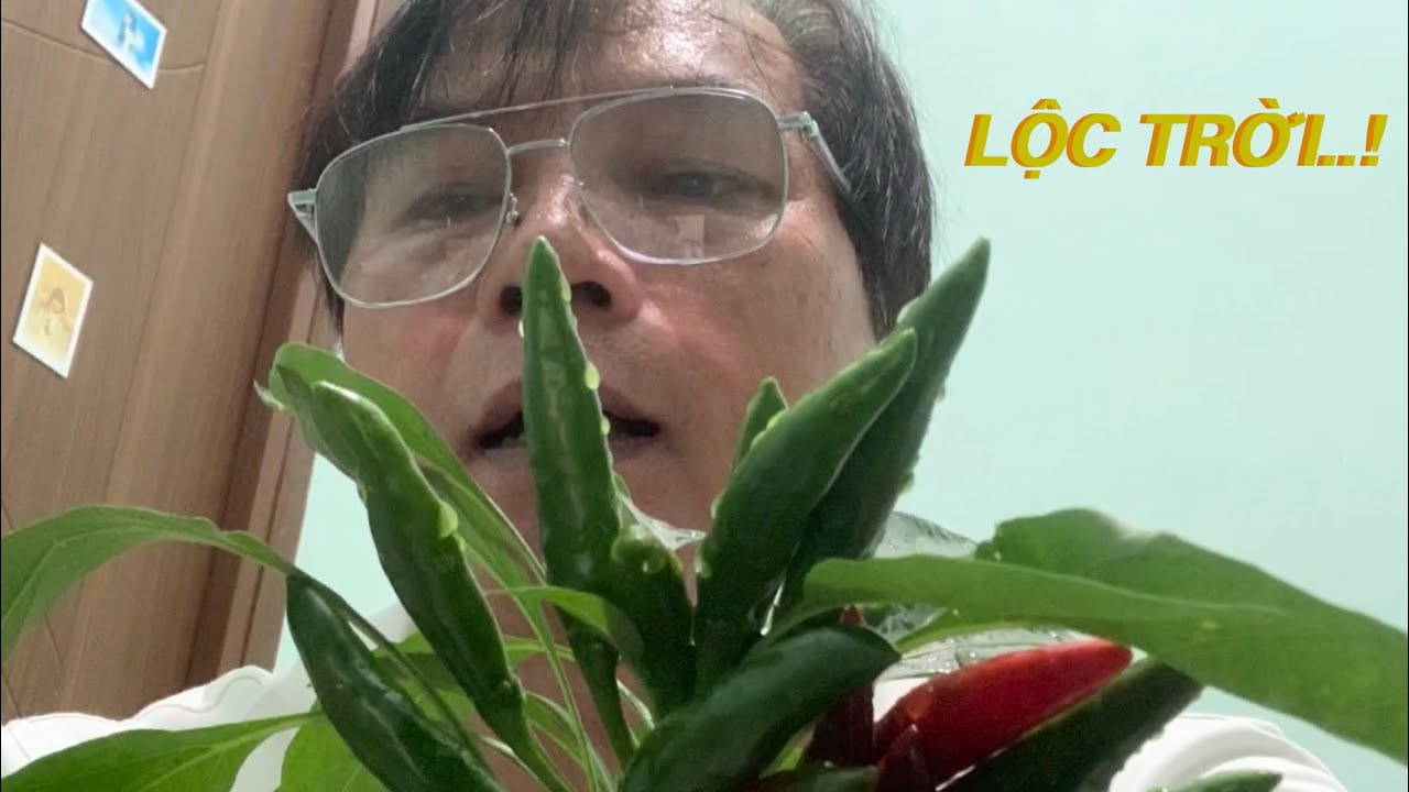 LỘC TRỜI..!