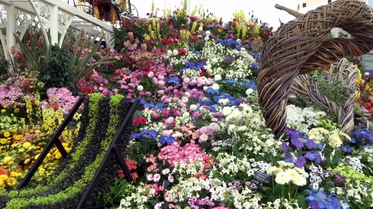 Study Abroad: visiting Chelsea Flower Show, London