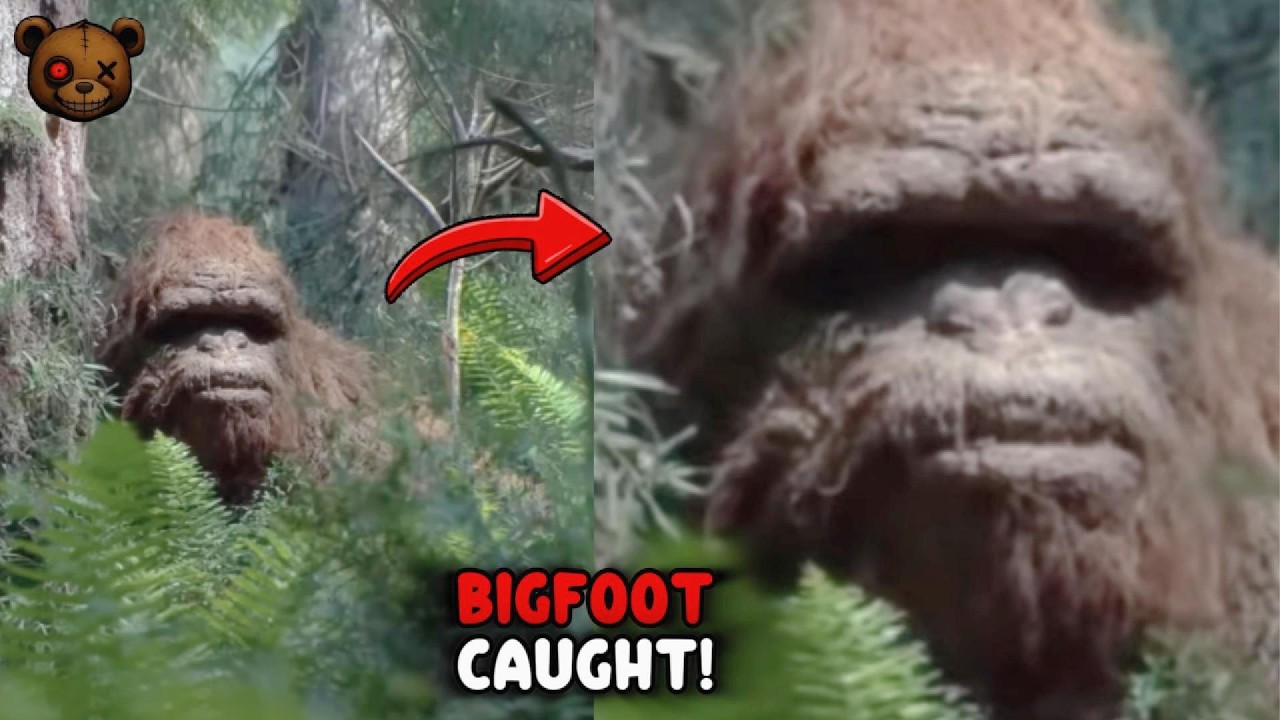 7 BIGFOOT SIGHTINGS That'll Leave You Breathless!