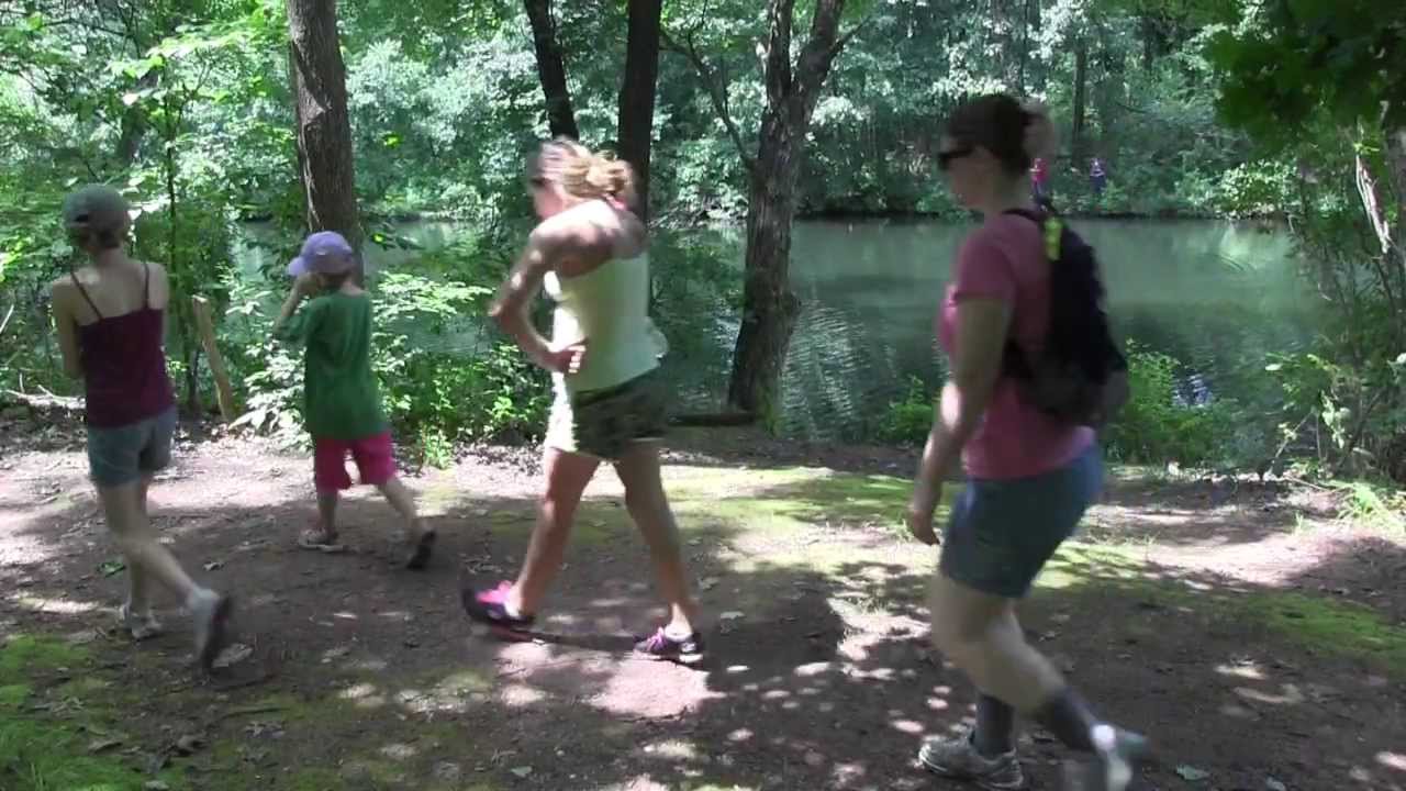 Experiencing Your Forests - Connecticut Forest & Park Association