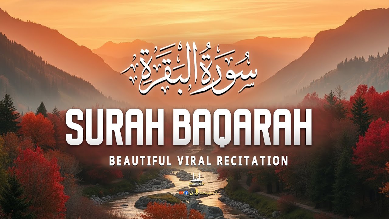 Surah Al Baqarah (سورة البقره) | Morning Quran Recitation for Rizq Barakah & Peaceful Start