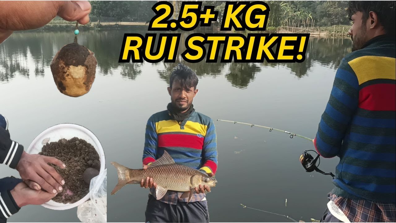 2.5 KG+ Rui Fish Strike at Ramu das Pond Huge Run, Screaming Reel & Epic Fight Bengal Fishing Part 1