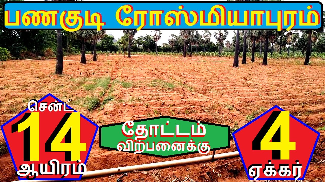 பணகுடி TO 4 கிலோமீட்டர் ரோஸ்மியாபுரம் 4 ஏக்கர் தோட்டம் விற்பனைக்குஒரு சென்ட் 14 ஆயிரம்.142-020.09.20