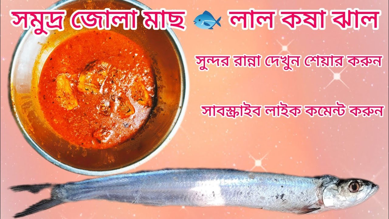 সমুদ্রের জোলা মাছ লাল ঝাল কষা#cooking #hamnaskitchenbd #food #halimakitchen #funny #recipe