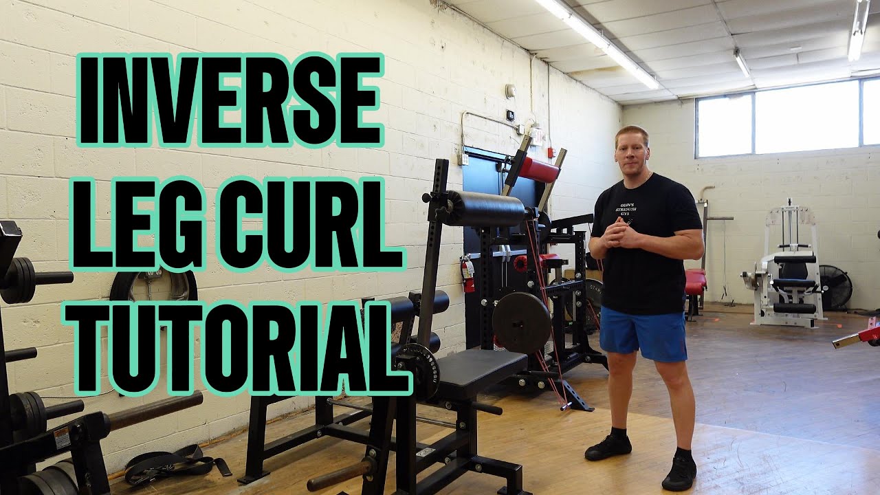 INVERSE LEG CURL TUTORIAL