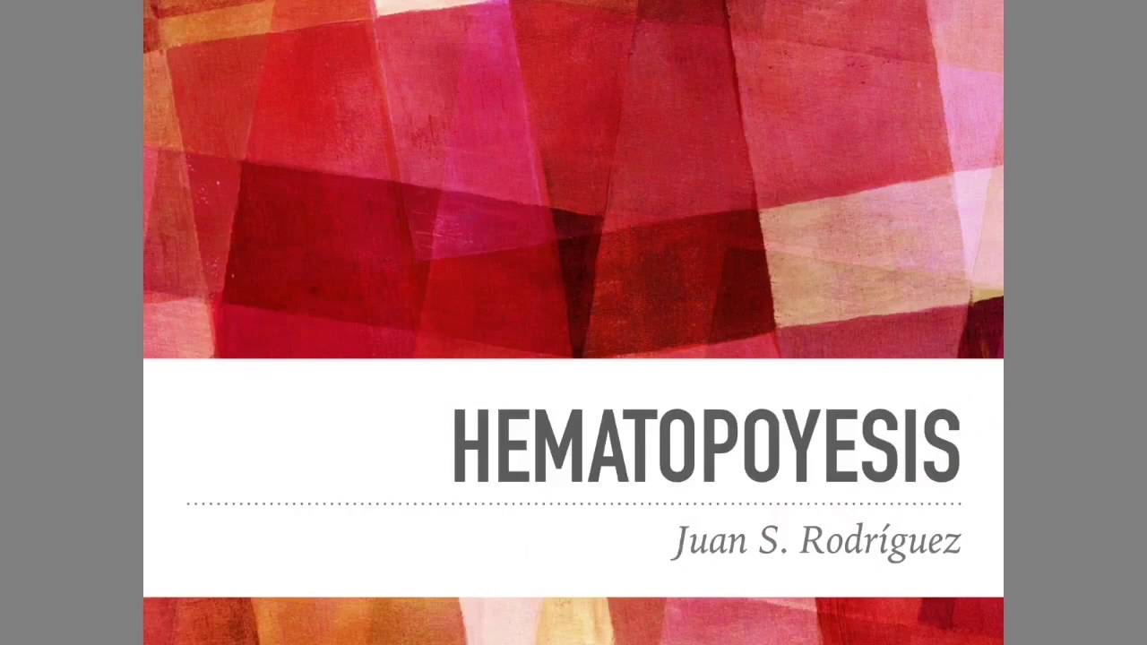 Hematopoyesis