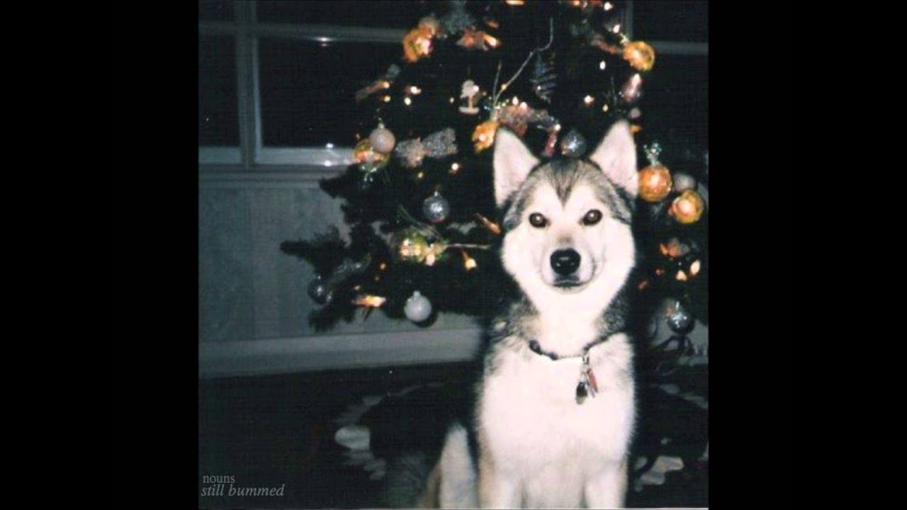 nouns - dogs
