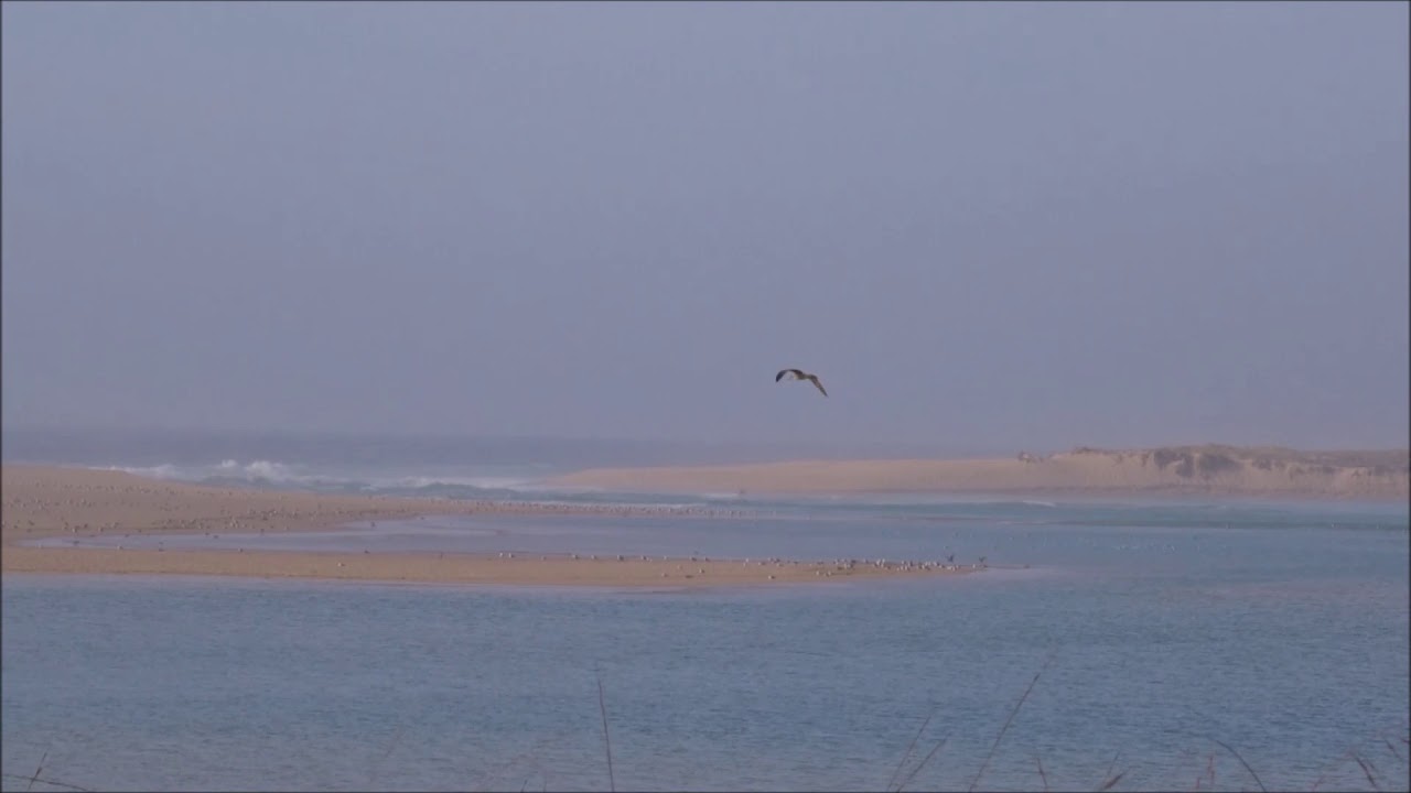 Vangelis - Dr. Stergios Tegos 18 - (Epic And Calm Music) Lagoa de Albufeira