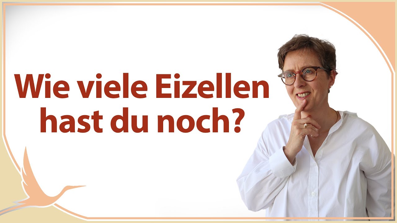 Bei Kinderwunsch wichtig: Das Anti-Müller-Hormon |🤰🏻 (Heidi Gößlinghoff)