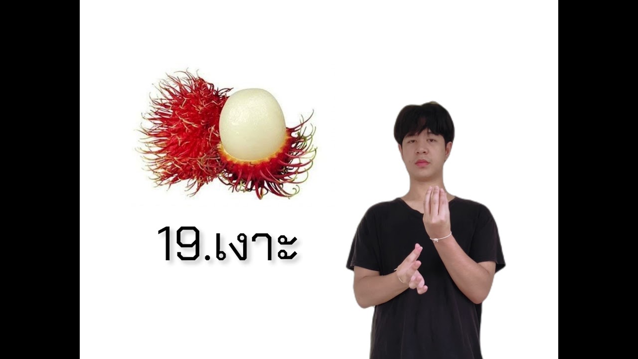 หมวดศัพท์ ผลไม้ (ภาษามือไทย)