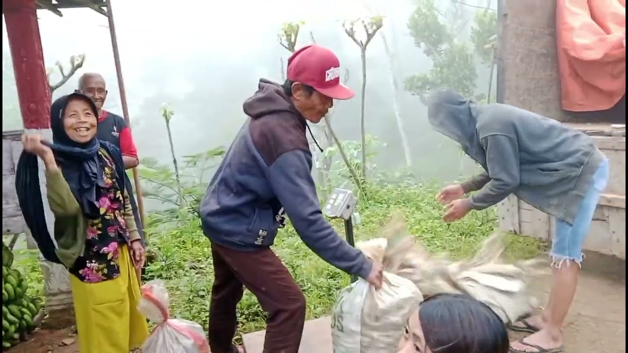 Pegunungan kabut teman teman #tetap mengais rizqi💪